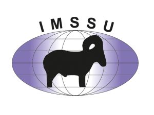 Ny hemsida hos IMSSU !!
